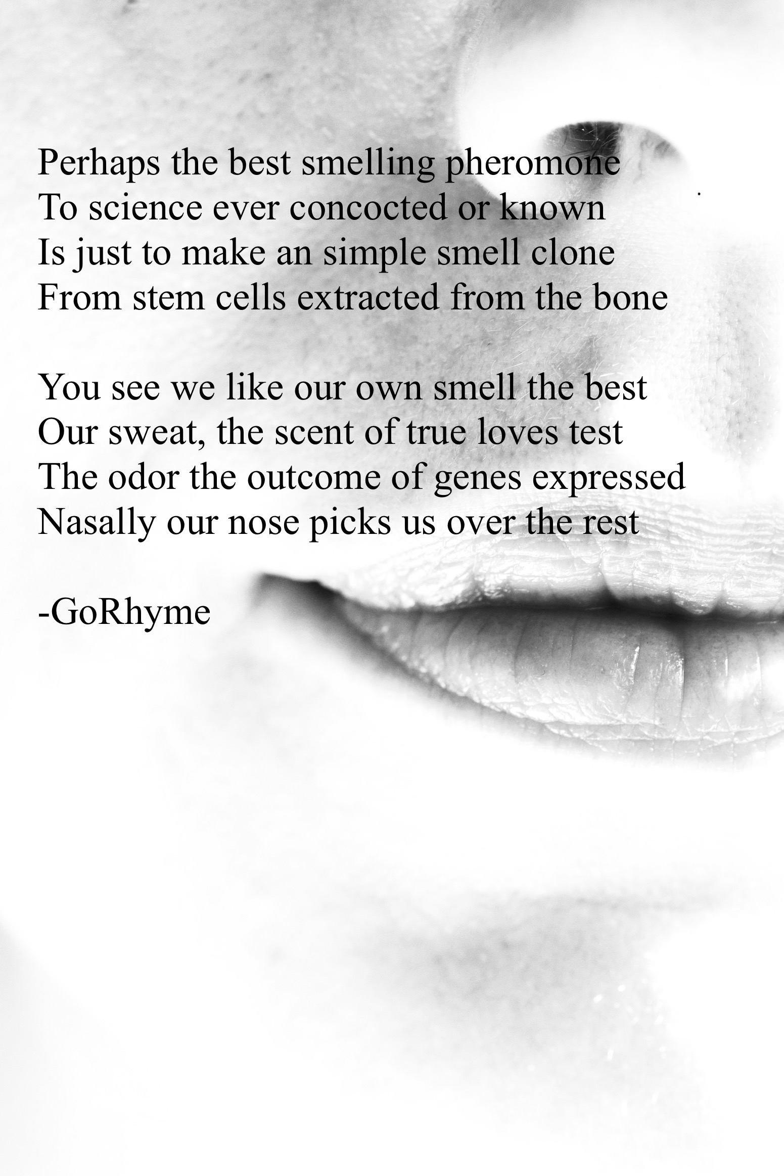Poetry by Kelly Gray